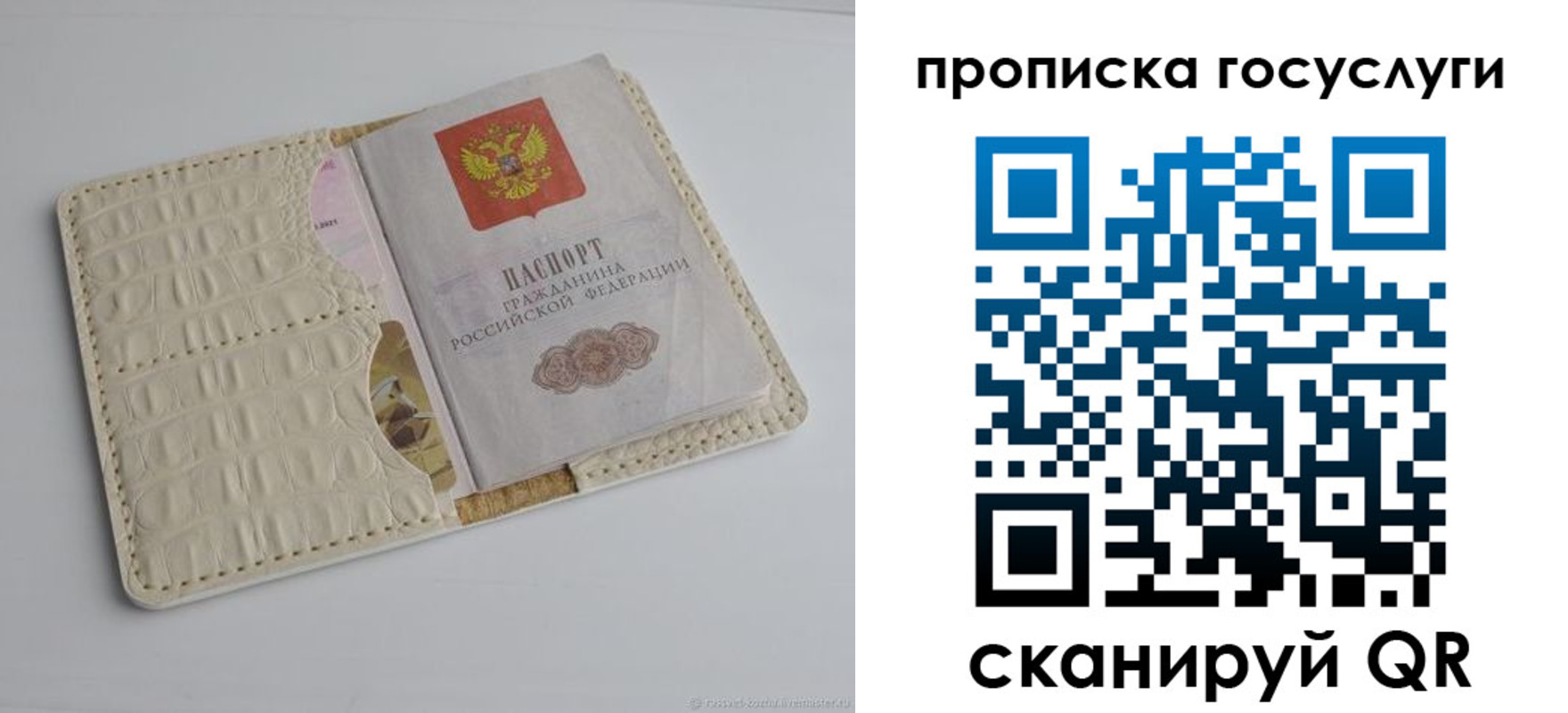 прописка в Дорогобуже
